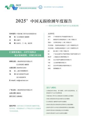 2025年无损检测年度报告.pdf