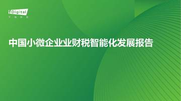 中国小微企业业财税智能化发展报告.pdf