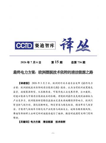 最终电力方案：欧洲摆脱技术依附的清洁能源之路.pdf