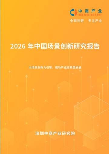 2026年中国场景创新研究报告.pdf