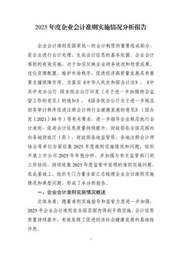 2025年度企业会计准则实施情况分析报告.pdf
