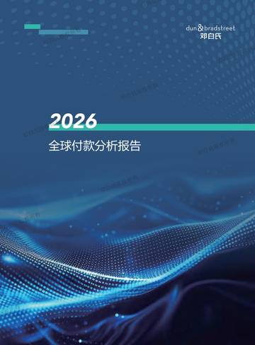 2026年全球付款分析报告.pdf
