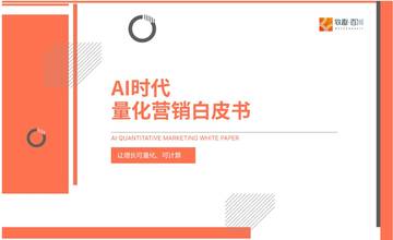 AI时代量化营销白皮书.pdf