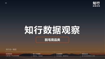 2026脱毛膏品类报告.pdf