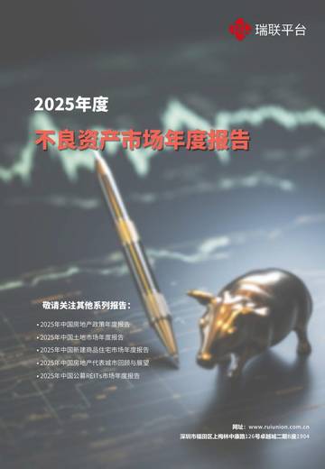 2025年度不良资产市场年度报告.pdf