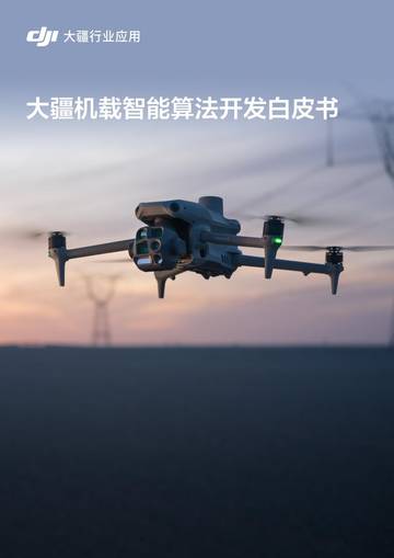 2026大疆机载智能算法开发白皮书.pdf