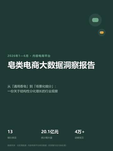 2026皂类电商大数据洞察报告.pdf