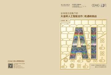 大金砖人工智能合作：机遇和挑战.pdf