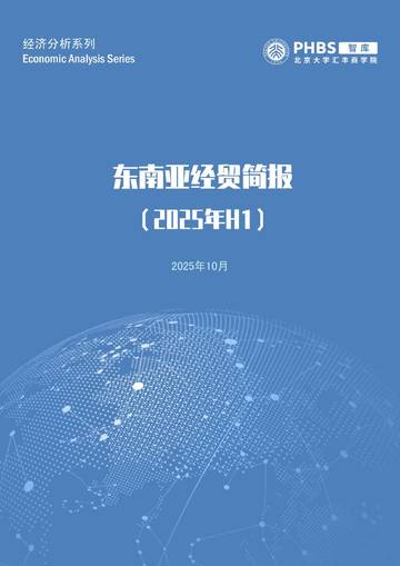 关税风起云涌，东南亚潮头高歌-2025年上半年东南亚经贸简报.pdf