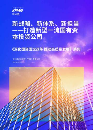 新战略、新体系、新担当——打造新型一流国有资本投资公司.pdf