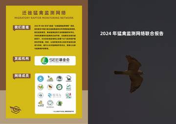 2024年猛禽监测网络联合报告.pdf