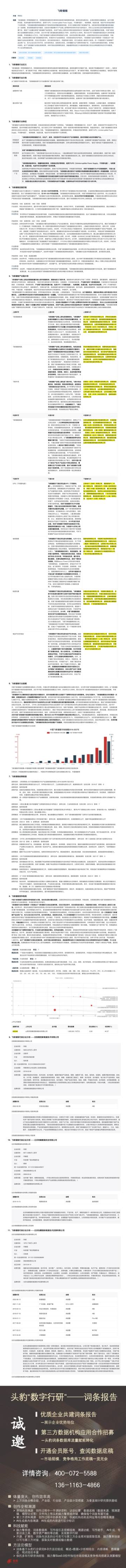 头豹：飞轮储能.pdf