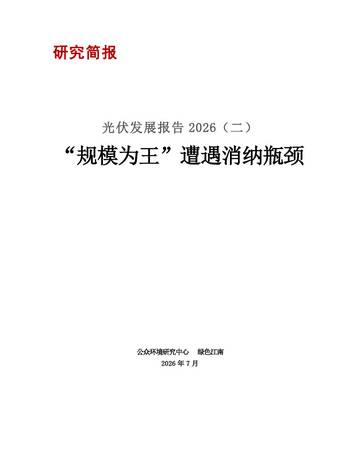 2026年光伏发展报告（二）：“规模为王”遭遇消纳瓶颈.pdf