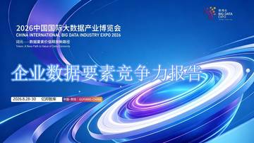 企业数据要素竞争力报告.pdf