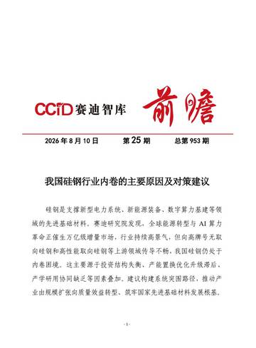 我国硅钢行业内卷的主要原因及对策建议.pdf