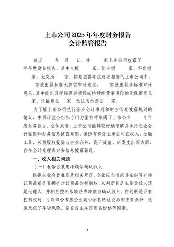 2025年年度财务报告会计监管报告.pdf