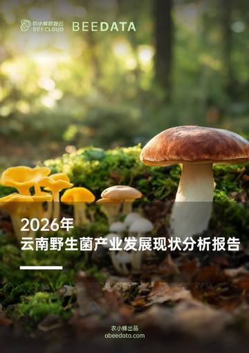 2026年云南野生菌产业发展现状分析报告.pdf