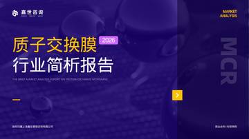 2026质子交换膜行业报告.pdf
