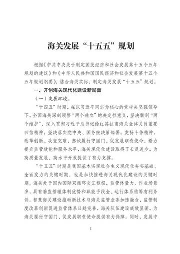 海关发展十五五规划.pdf