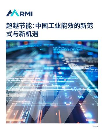 超越节能-中国工业能效的新范式与新机遇.pdf