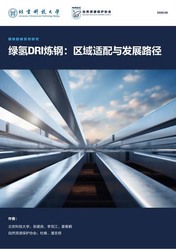 2026绿氢DRI炼钢：区域适配与发展路径.pdf