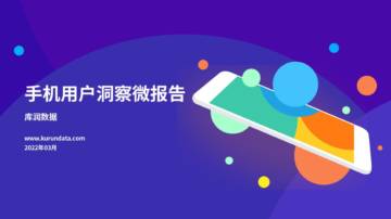 2022年手机用户洞察微报告.pdf
