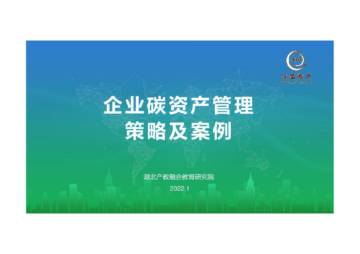 湖北产教融合教育研究院：企业碳资产管理策略及案例.pdf