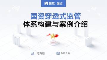 国资穿透式监管体系构建与案例介绍.pdf