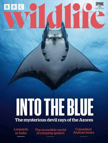 国际学生课外读物BBC Wildlife - Spring 2026.pdf
