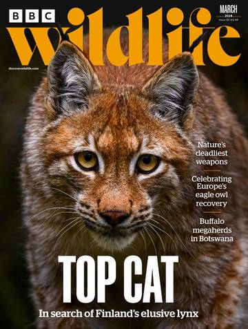 国际学生课外读物BBC Wildlife - March 2026.pdf