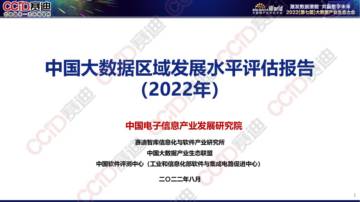 中国大数据区域发展水平评估报告（2022年）.pdf