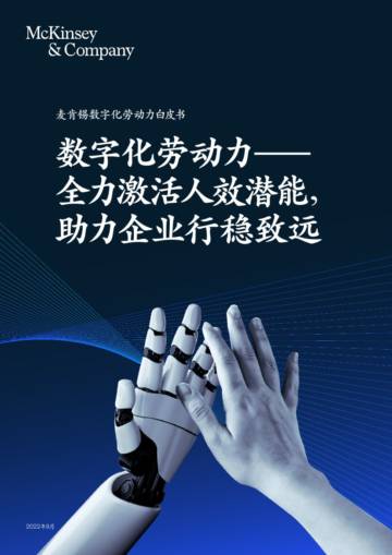 麦肯锡：数字化劳动力——全力激活人效潜能， 助力企业行稳致远.pdf