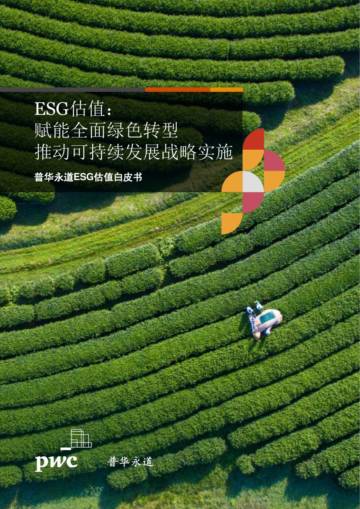 建立统一的ESG估值理论体系和评估准则，赋能全面绿色转型.pdf