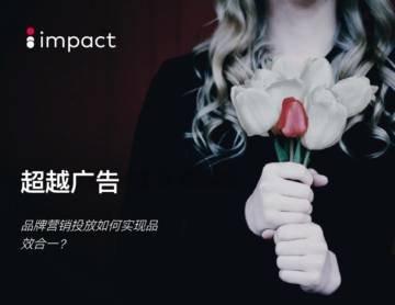 impact：超越广告：品牌营销投放如何实现品效合一.pdf