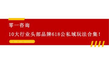 10大行业头部品牌618公私域玩法合集.pdf
