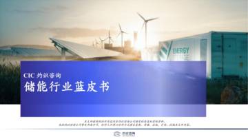 灼识咨询-中国储能行业蓝皮书.pdf