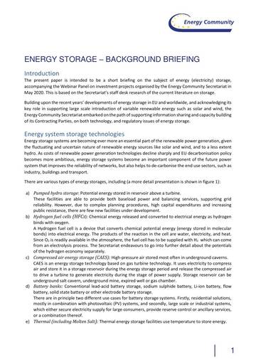 Energy_Storage_Background_052020.pdf