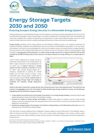 Energy-Storage-Targets-2030-and-2050-Short-Summary.pdf