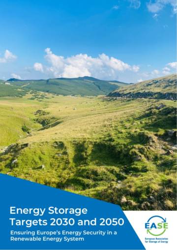 欧洲2030及2050储能目标研究报告.pdf