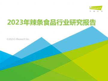2023年辣条食品行业研究报告.pdf