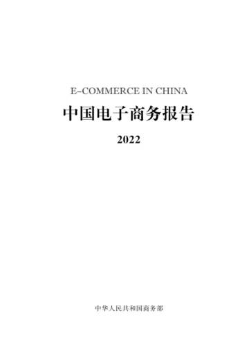2022中国电子商务报告.pdf