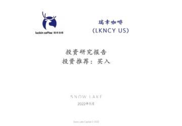 雪湖资本-瑞幸咖啡投资研究报告（中文）.pdf