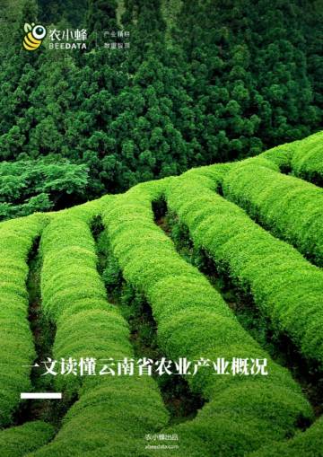 农小蜂：一文读懂云南省农业产业概况（2023）.pdf