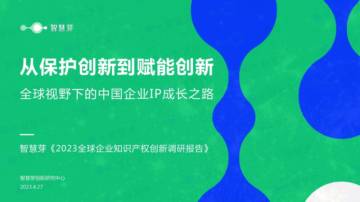 智慧芽：2023全球企业知识产权创新调研报告.pdf