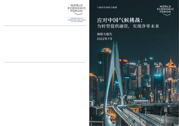 应对中国气候挑战：为转型提供融资，实现净零未来 .pdf