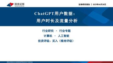 2023ChatGPT用户数据.pdf