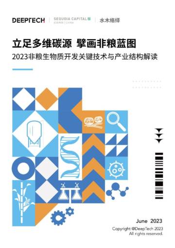 DeepTech：2023非粮生物质开发关键技术与产业结构解读.pdf