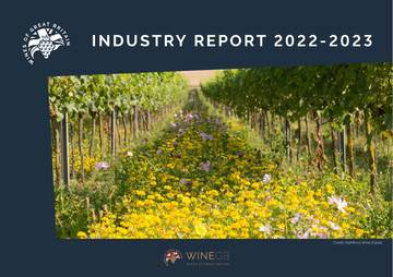 2022-2023年葡萄酒行业报告.pdf