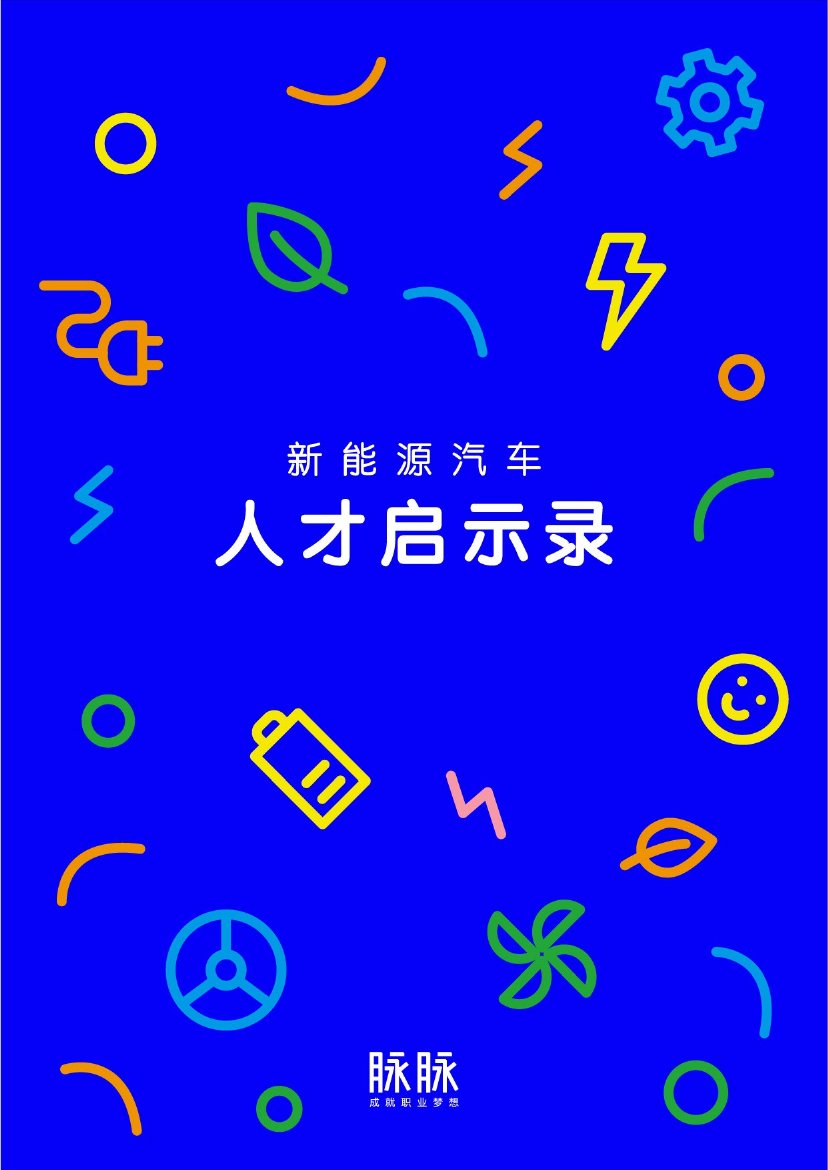新能源汽车人才启示录.pdf