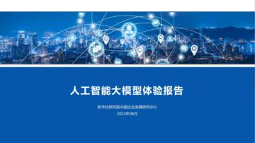 新华社研究院：人工智能大模型体验报告.pdf